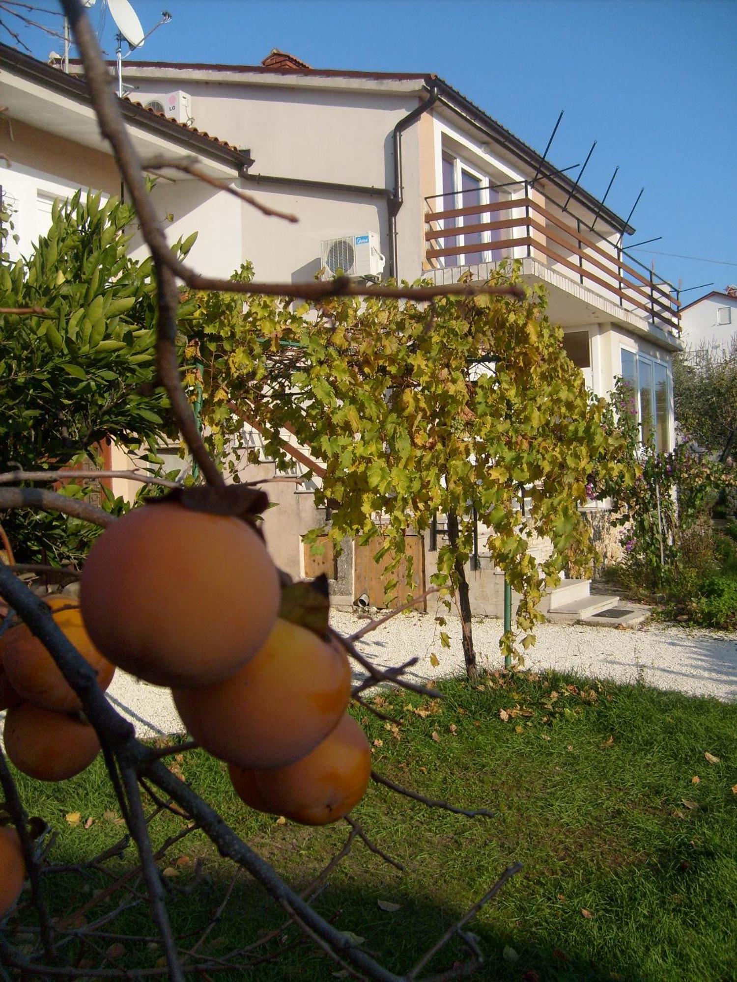 Apartments Bernic Medulin Extérieur photo